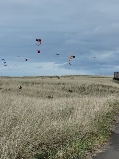 Discovery Trail - Seaview, WA