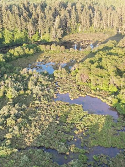 Discovery Trail - Seaview, WA