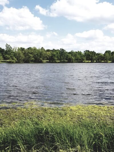 Clover Dell Park - Sedalia, MO