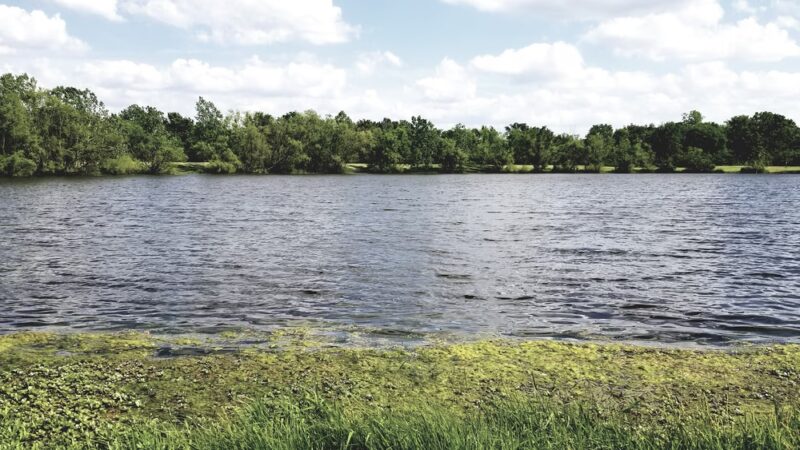 Clover Dell Park - Sedalia, MO