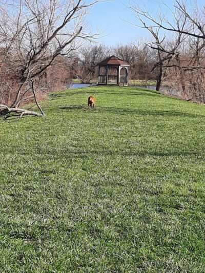 Clover Dell Park - Sedalia, MO