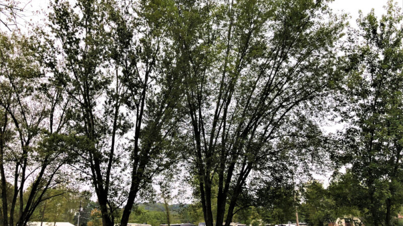 Penn Avon Campground - Selinsgrove, PA