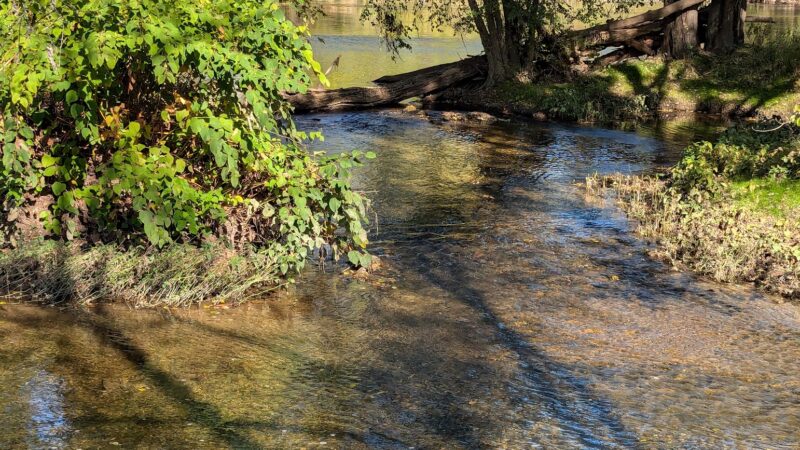 Penn Avon Campground - Selinsgrove, PA