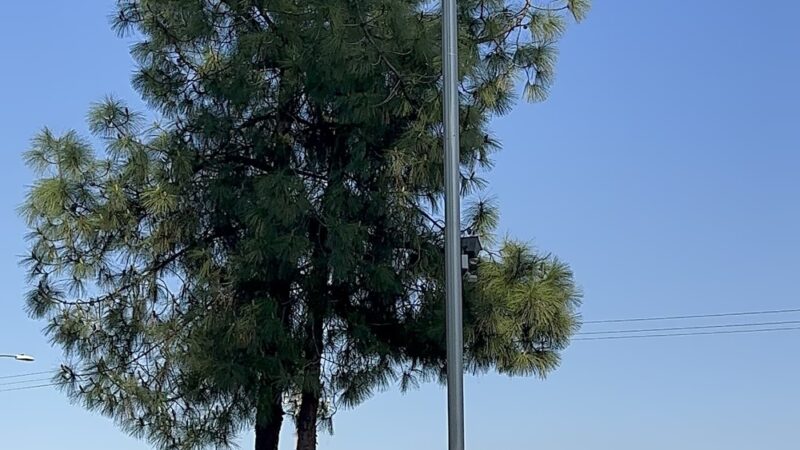 W. H. Shafer Park - Selma, CA