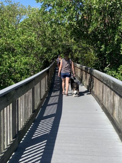 Boca Ciega Millennium Park Dog Park - Seminole, FL