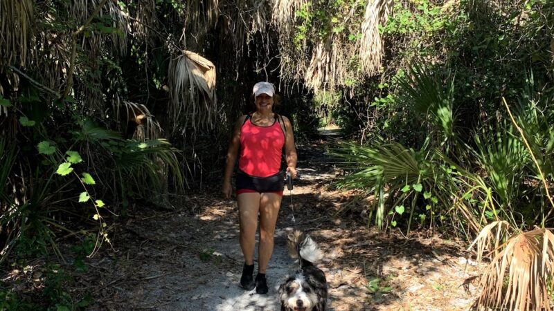 Boca Ciega Millennium Park Dog Park - Seminole, FL