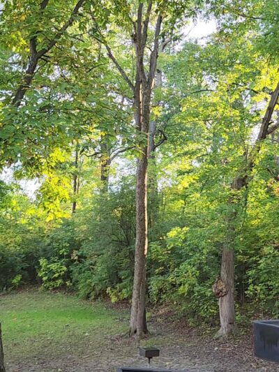 Cayuga Lake State Park-East - Seneca Falls, NY
