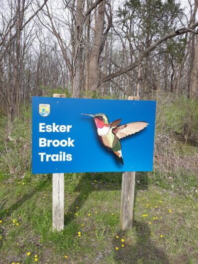 Esker Brook Trail - Seneca Falls, NY
