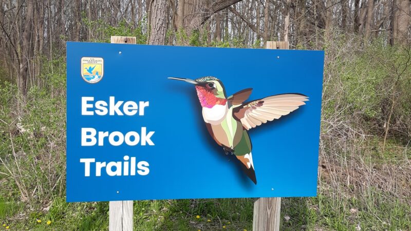 Esker Brook Trail - Seneca Falls, NY