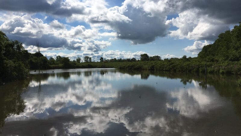 Esker Brook Trail - Seneca Falls, NY