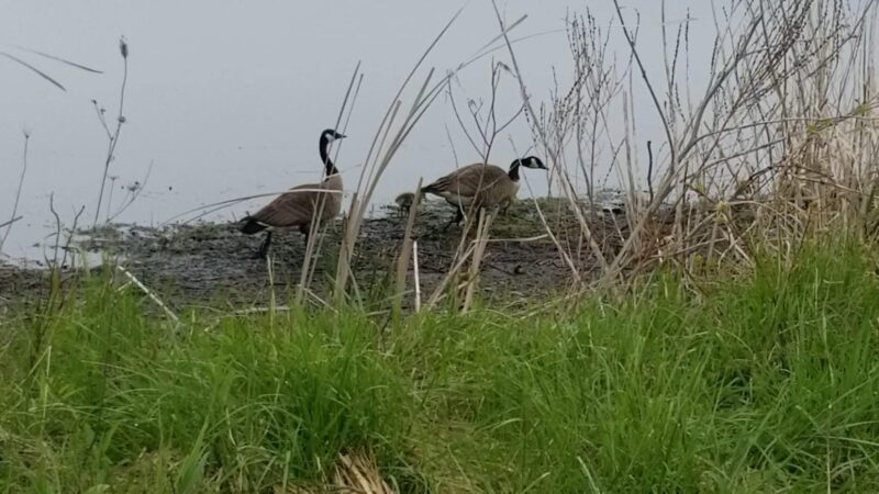 Esker Brook Trail - Seneca Falls, NY
