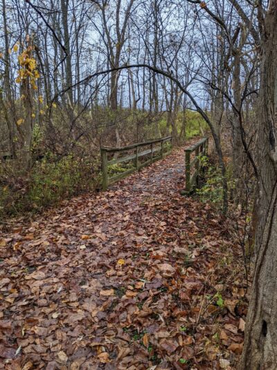 Esker Brook Trail - Seneca Falls, NY