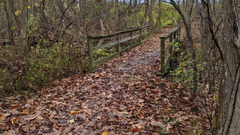Esker Brook Trail - Seneca Falls, NY