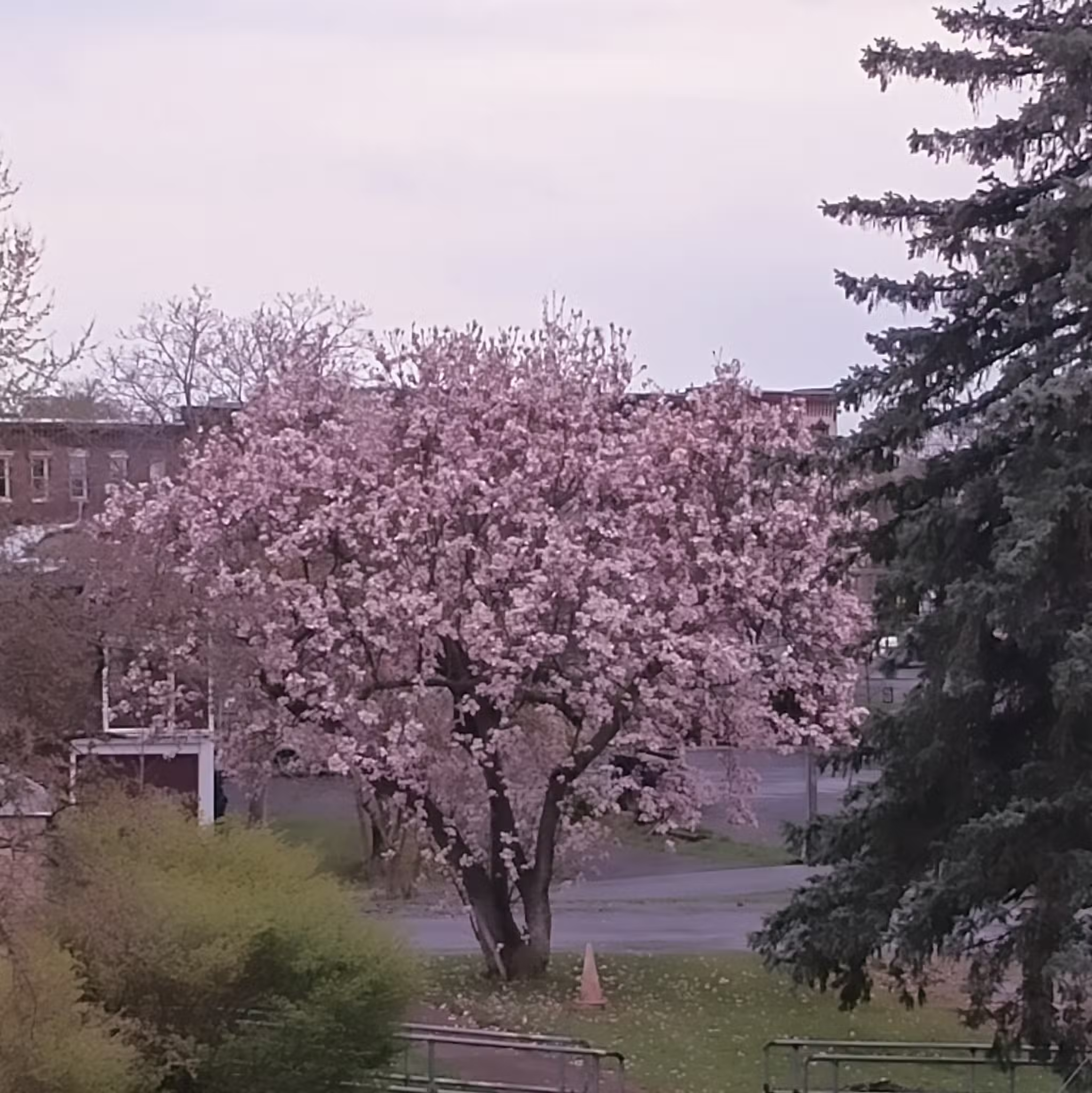 Seneca Falls - Seneca Falls, NY