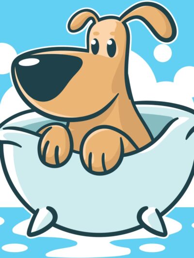 Bark & Bath Pet Salon and Boarding Too - Seneca, PA