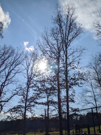 Morrison Park - Seneca, PA