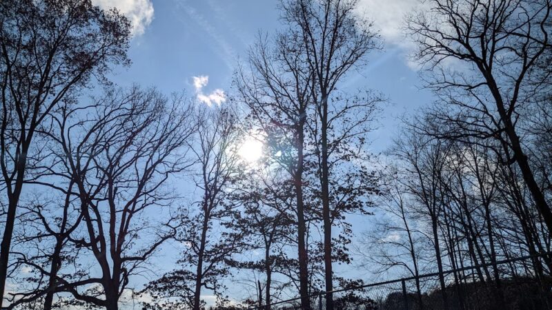 Morrison Park - Seneca, PA