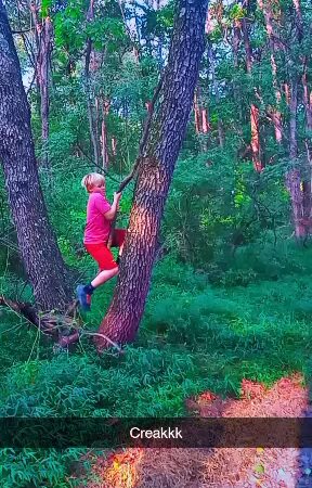 Blackberry Nature Trail - Sesser, IL