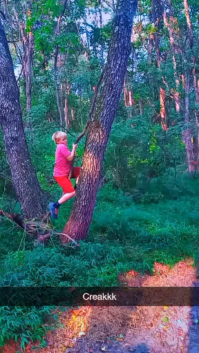 Blackberry Nature Trail - Sesser, IL