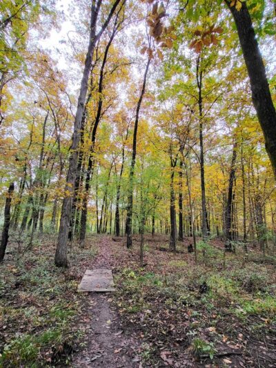 Blackberry Nature Trail - Sesser, IL