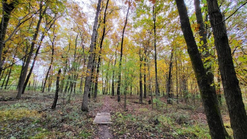 Blackberry Nature Trail - Sesser, IL