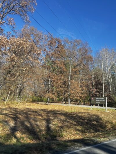 Blackberry Nature Trail - Sesser, IL