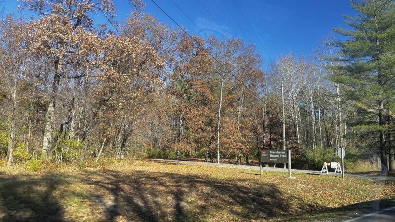 Blackberry Nature Trail - Sesser, IL