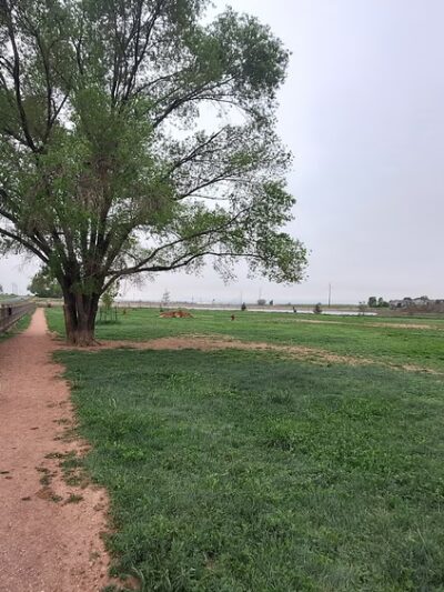 Severance Dog Park - Severance, CO