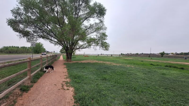 Severance Dog Park - Severance, CO