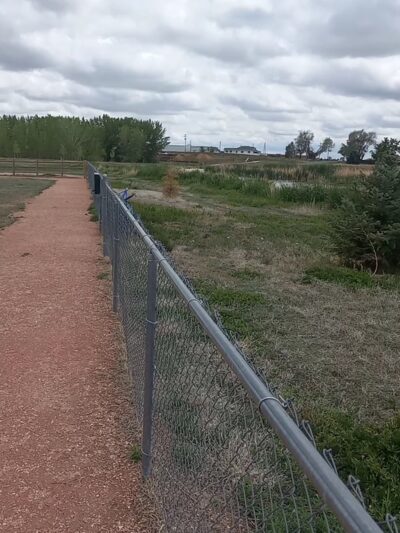 Severance Dog Park - Severance, CO