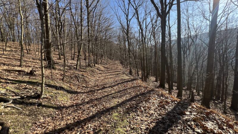 Charles F Lewis Natural Area - Seward, PA