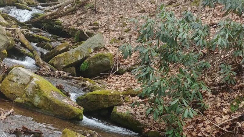 Charles F Lewis Natural Area - Seward, PA