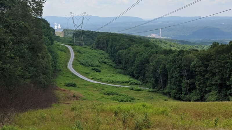 Charles F Lewis Natural Area - Seward, PA