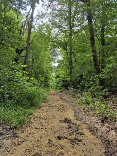 Ceres Back Lot - Sewell, NJ