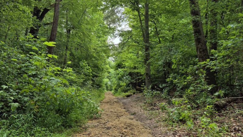 Ceres Back Lot - Sewell, NJ