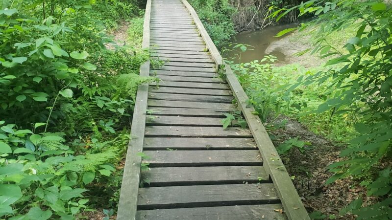 Ceres Back Lot - Sewell, NJ