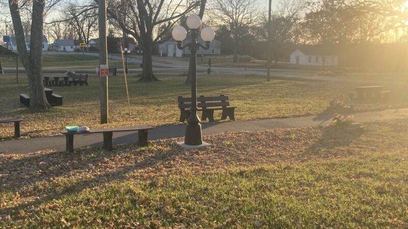 Village Park Diggins - Seymour, MO