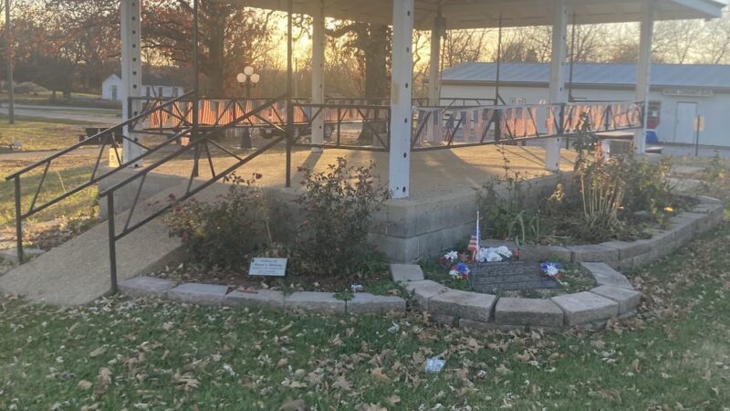 Village Park Diggins - Seymour, MO