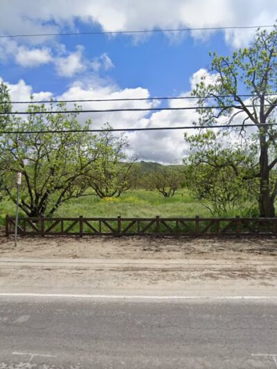 Jim Wilson Grove - Shady Oaks and Basking Ridge, CA