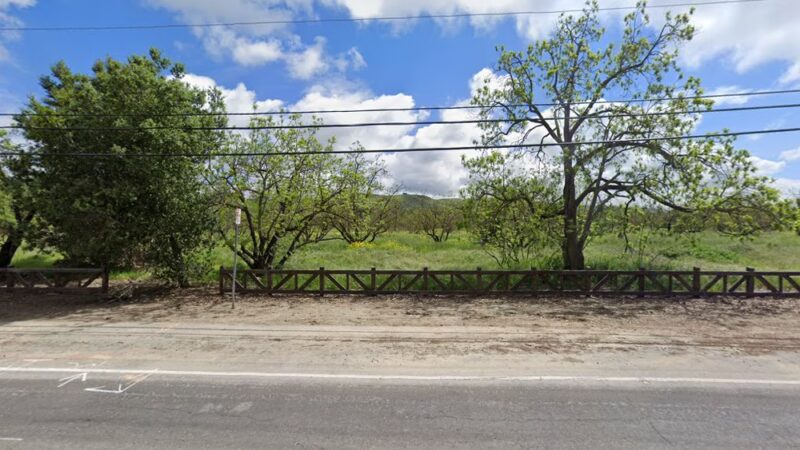 Jim Wilson Grove - Shady Oaks and Basking Ridge, CA