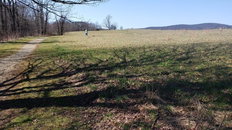 Cross Mountain Hike - Shady Valley, TN