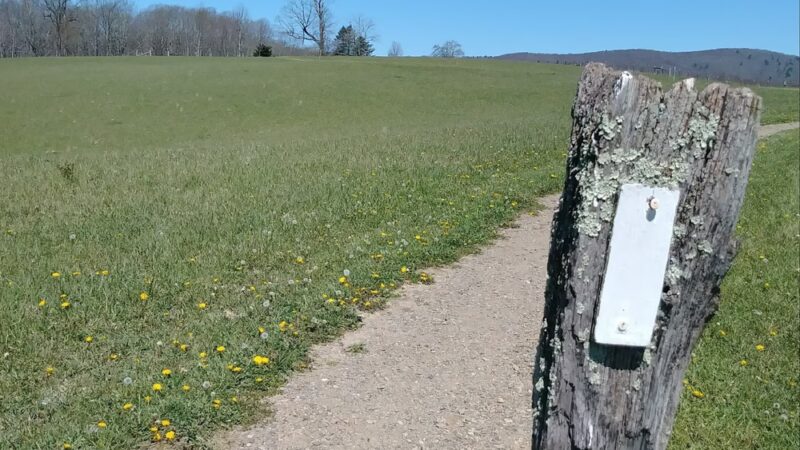 Cross Mountain Hike - Shady Valley, TN