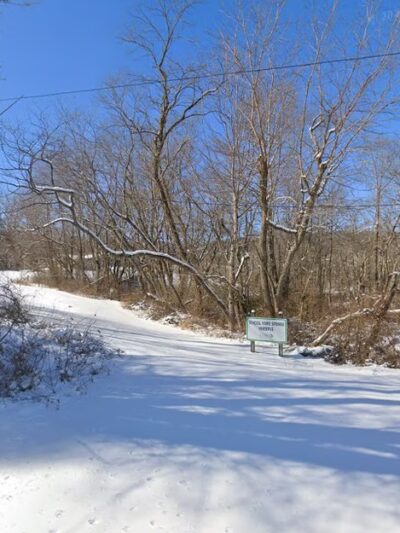 Schoolyard Spring Preserve - Shady Valley, TN