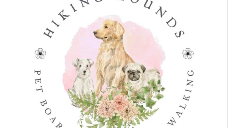 Hiking Hounds CT Pet Care - Sharon, CT