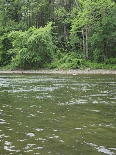 Housatonic Meadows State Park - Sharon, CT