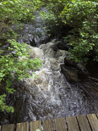 Massapoag Trail - Sharon, MA