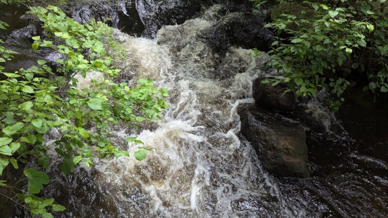 Massapoag Trail - Sharon, MA