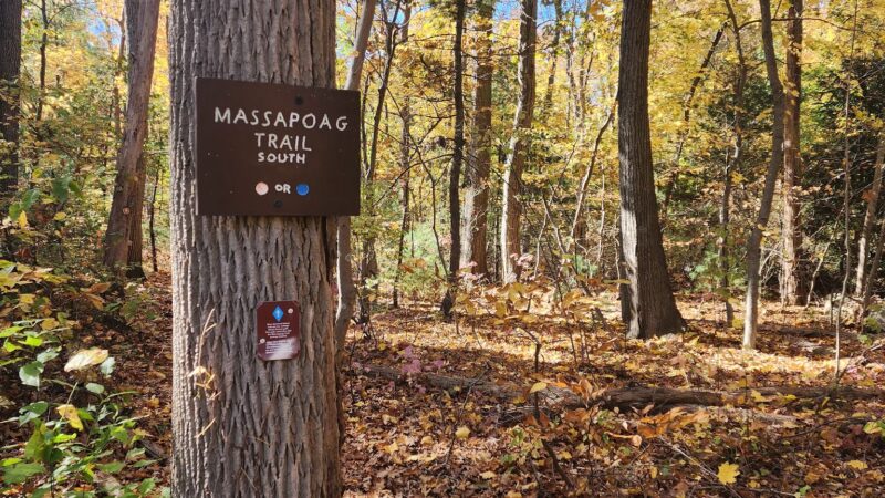 Massapoag Trail - Sharon, MA