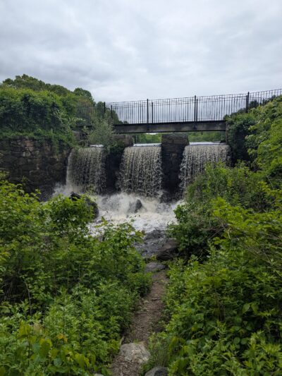 Massapoag Trail - Sharon, MA