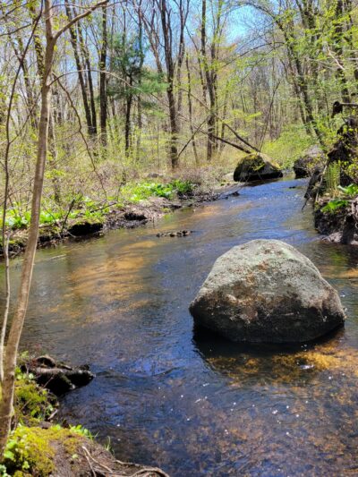 Massapoag Trail - Sharon, MA